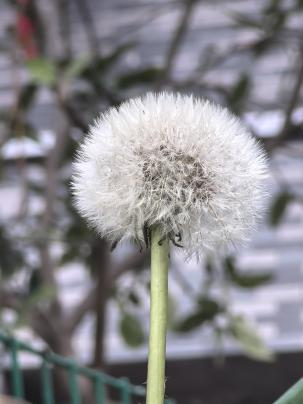 图片21.png